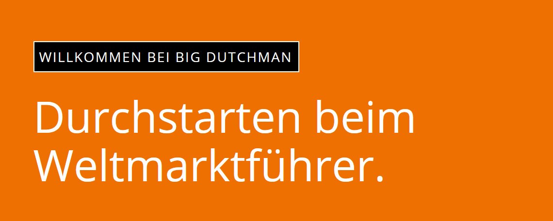 Senior Manager Projekt Und Exportfinanzierung M W D Job Bei Big Dutchman International Gmbh In Vechta